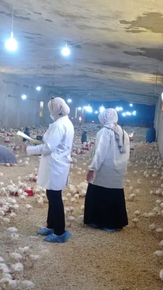 بيطرى الشرقية 