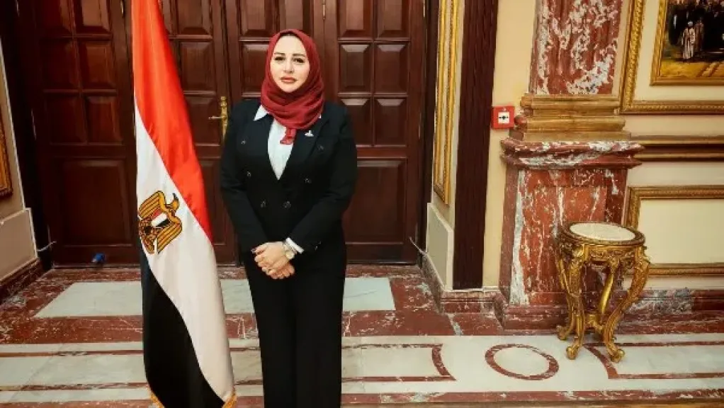 النائبة شيرين صبرى
