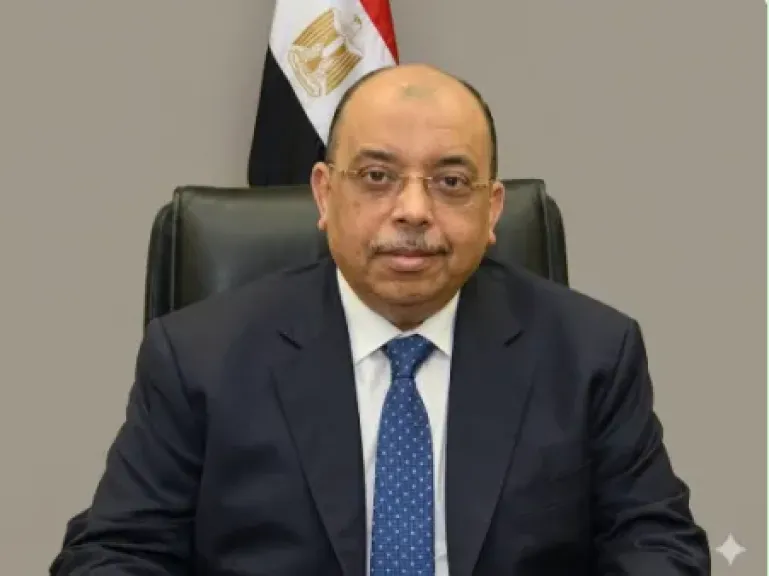 النائب اللواء محمود شعراوى