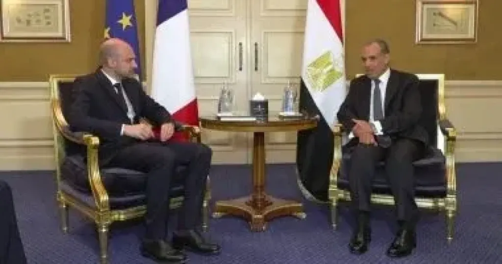 بدر عبد العاطي ونظيره الفرنسي