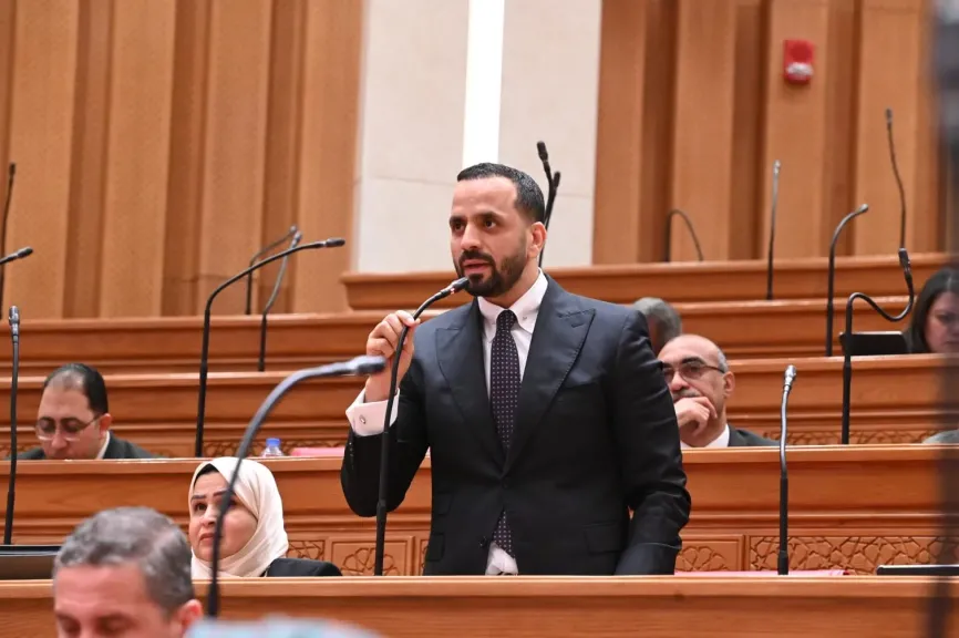 النائب محمد عبد الحفيظ