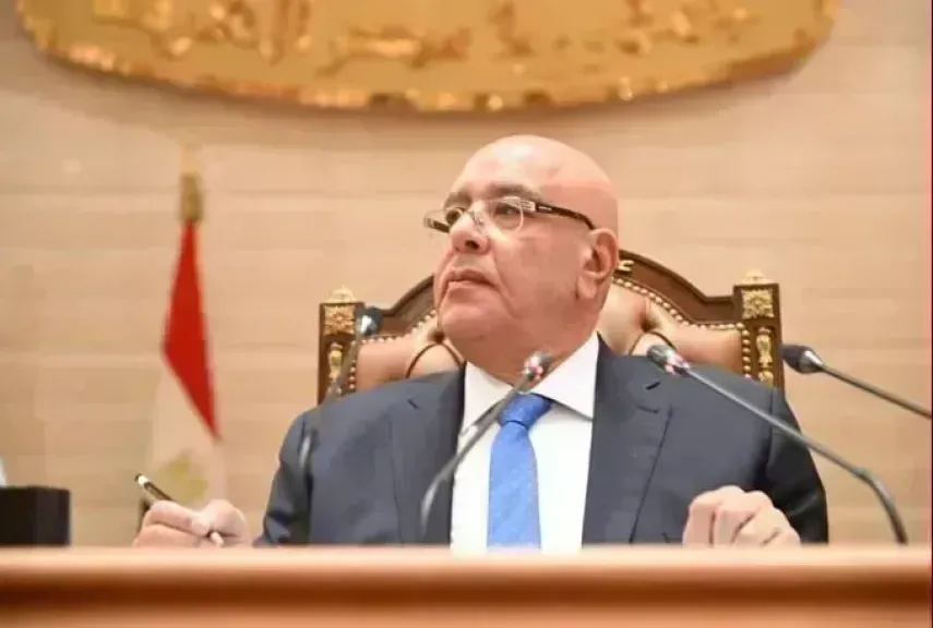 هشام بدوى 