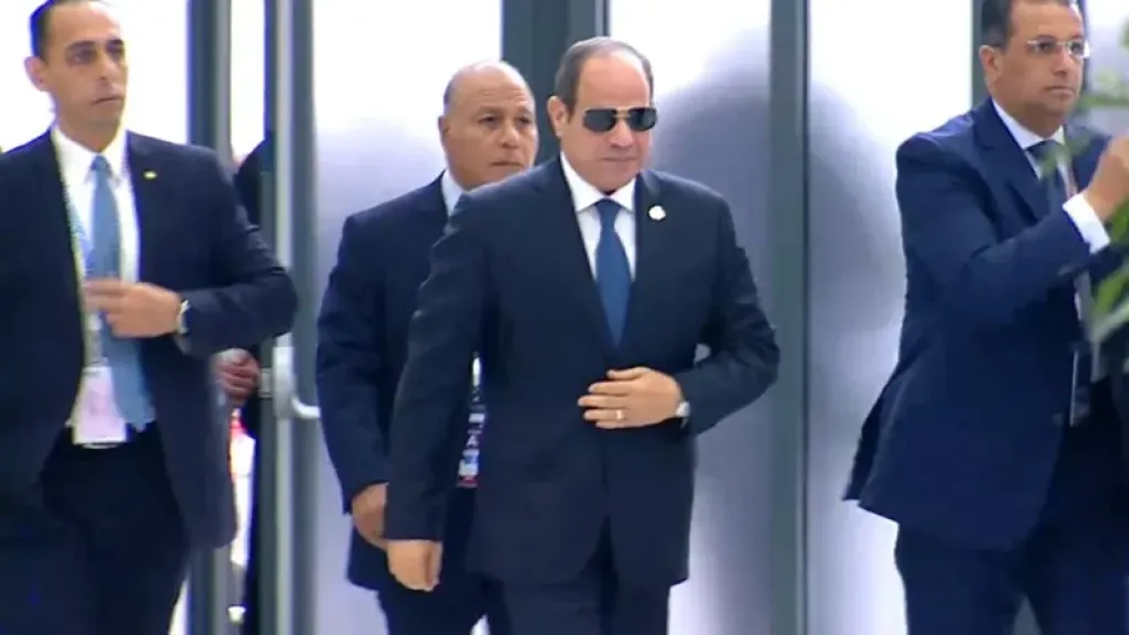 الرئيس السيسى