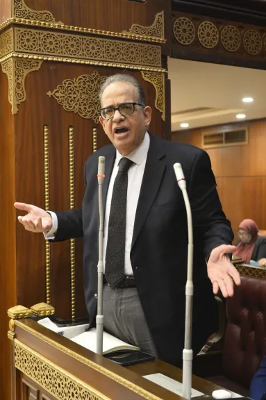 رئيس برلمانية الوفد