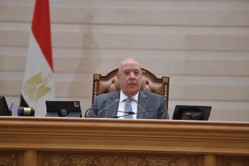 المستشار هشام بدوي