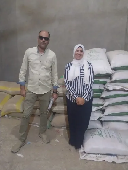 جانب من الحملات 