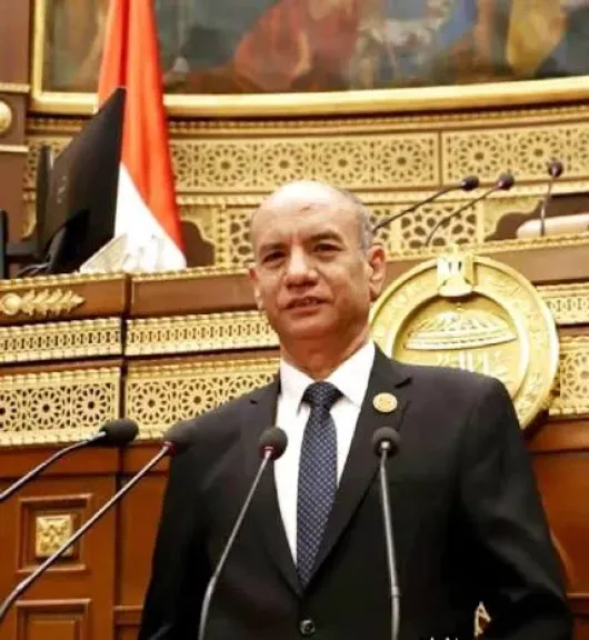 النائب اللواء مجدى القاضى  