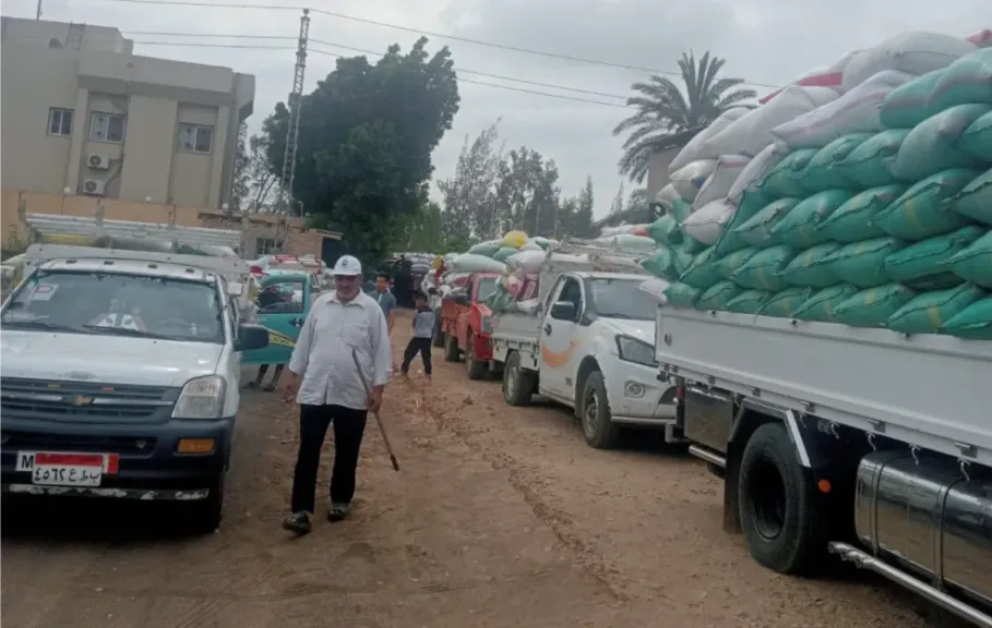 توريد القمح