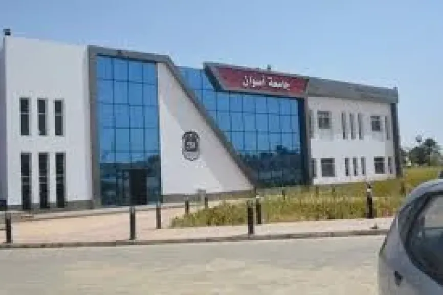 جامعة أسوان