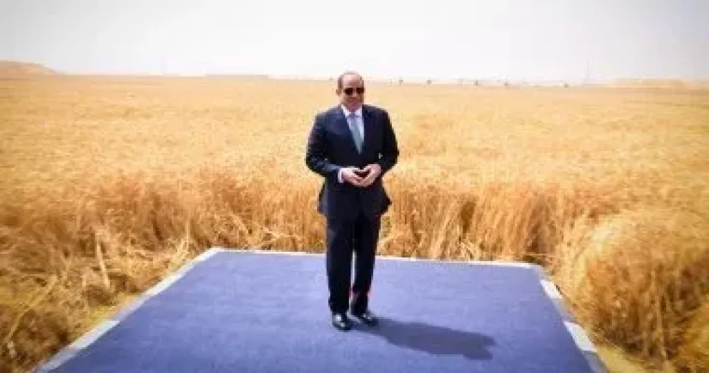 السيسي