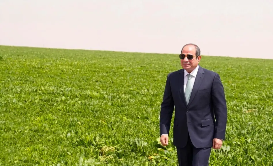 السيسي 