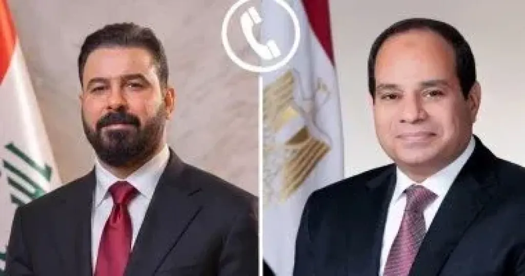 الرئيس السيسى