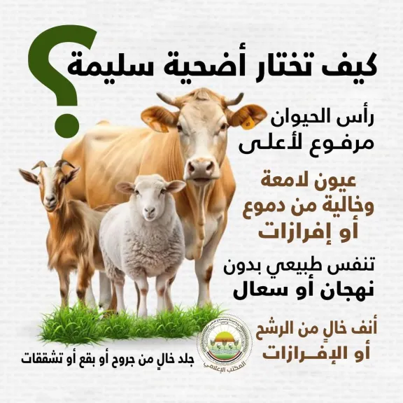 توصية الأضحية 