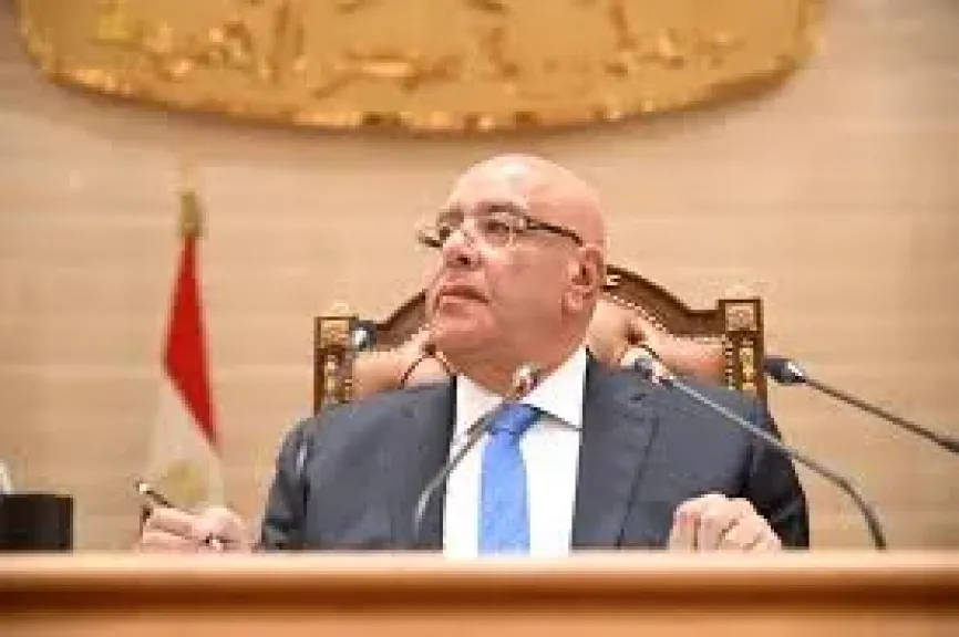 المستشار هشام بدوى
