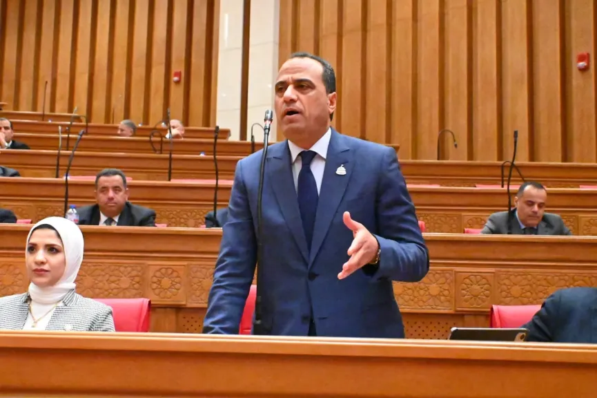 النائب ممدوح عبد السميع جاب الله