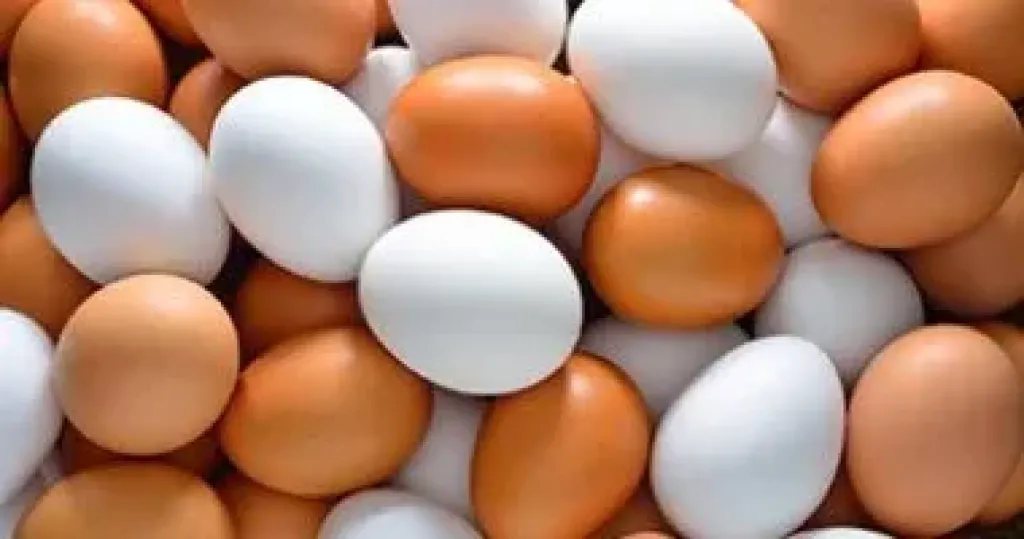 البيض 