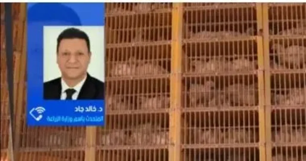 جانب من المداخلة 