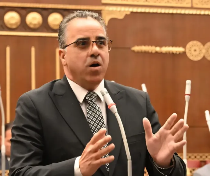 النائب الدكتور هشام مجدى