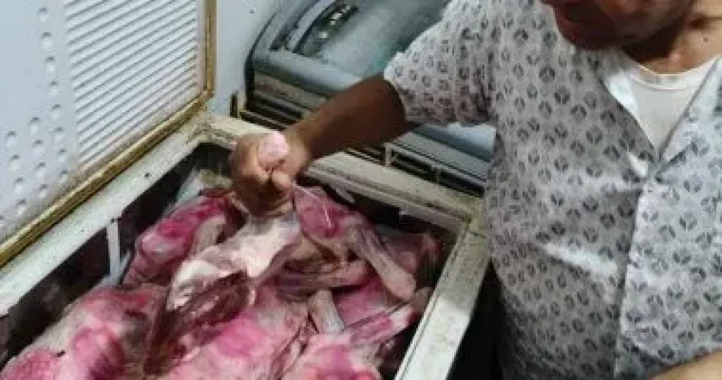 المضبوطات 