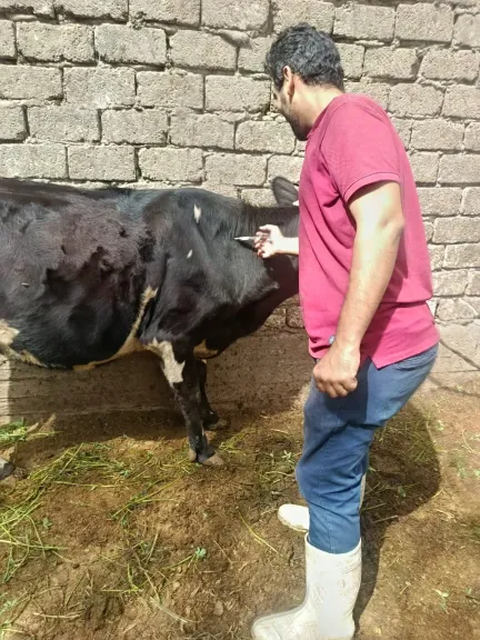 جانب من متابعه 