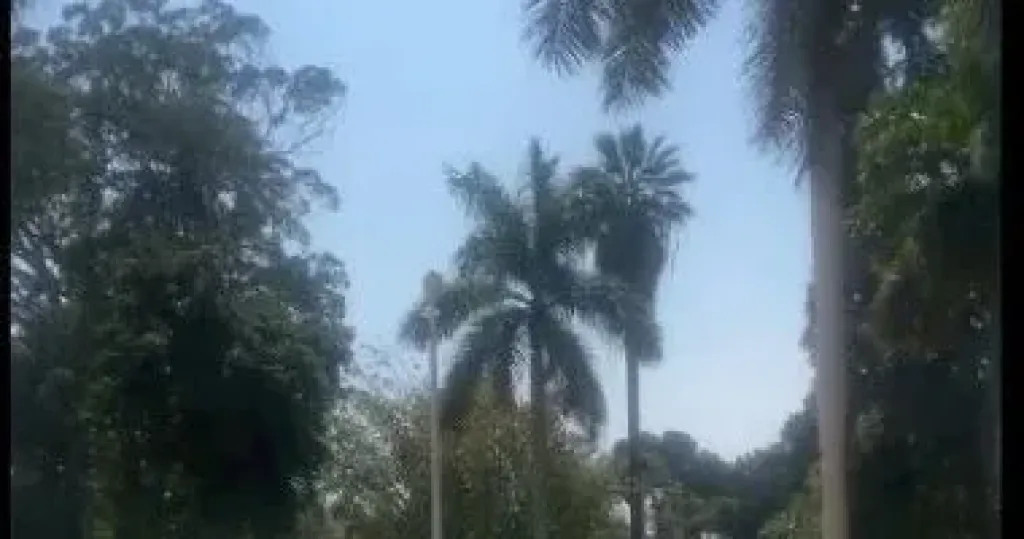 القناطر الخيرية