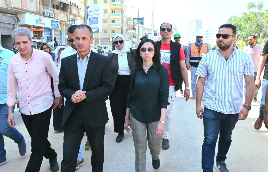 محافظ البحيرة 