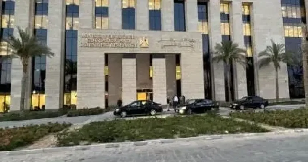 التعليم العالي 