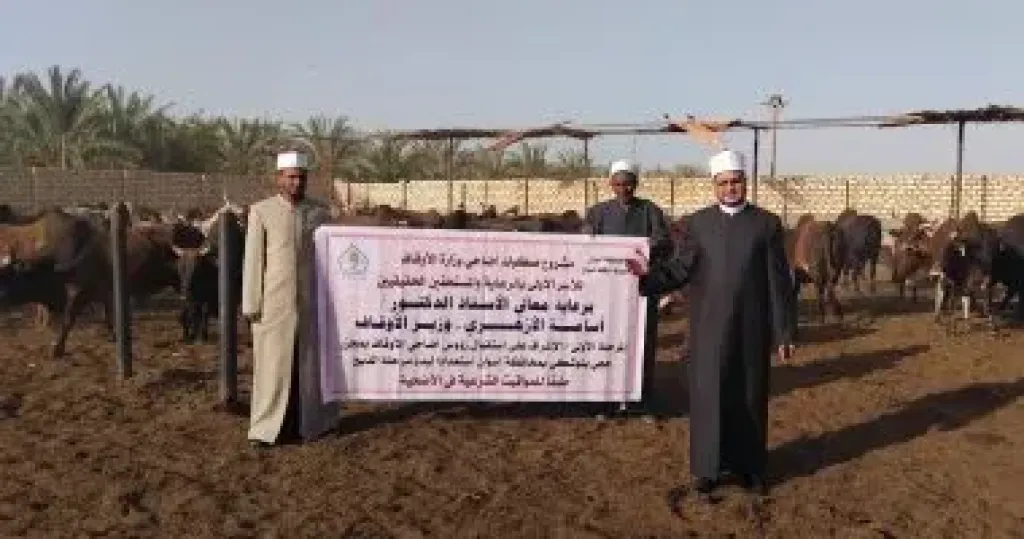 الأوقاف تتابع تجهيز الأضاحي بمجازر أبو سمبل