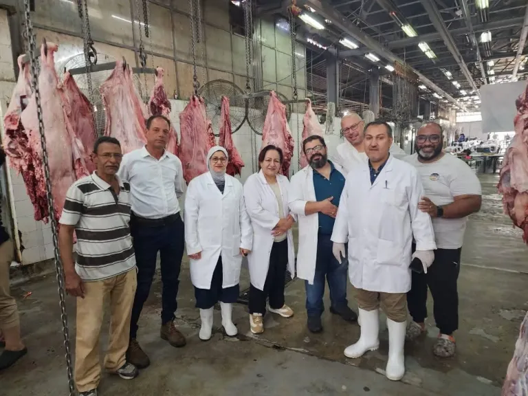 المجازر الحكومية