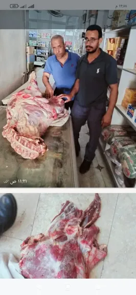 جانب من المضبوطات 