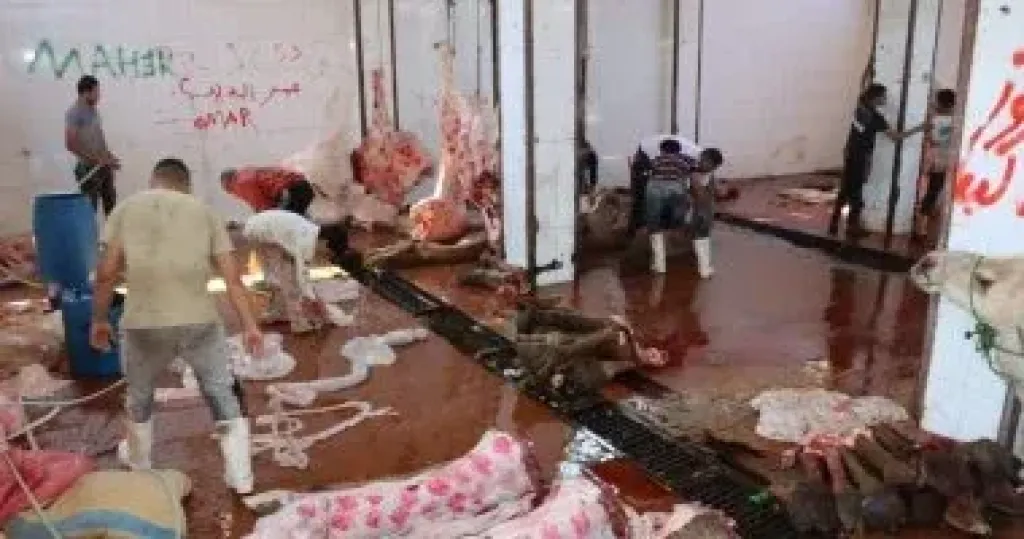 الأضاحي 