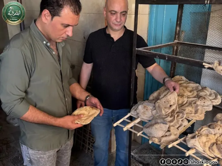 جانب من المضبوطات 