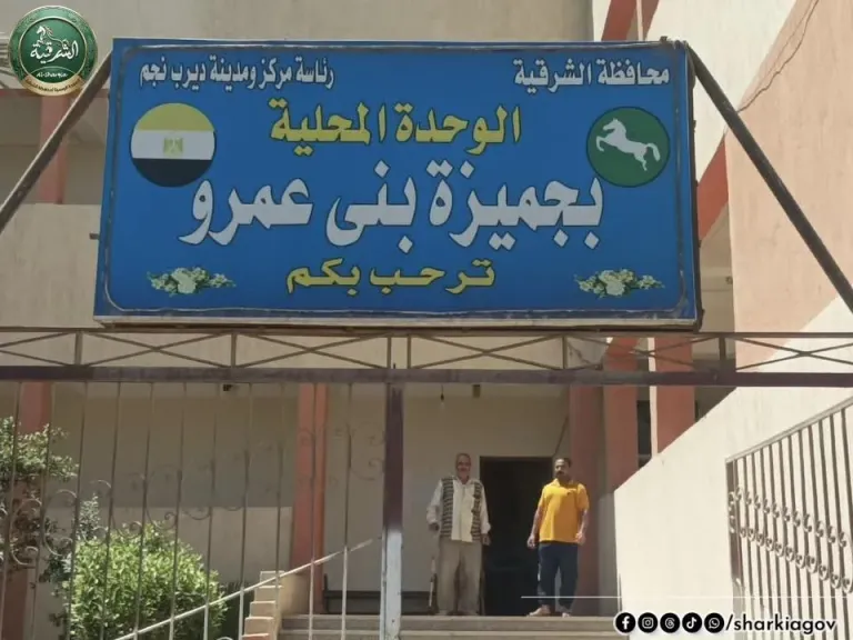 جانب من الوحدات المحلية 