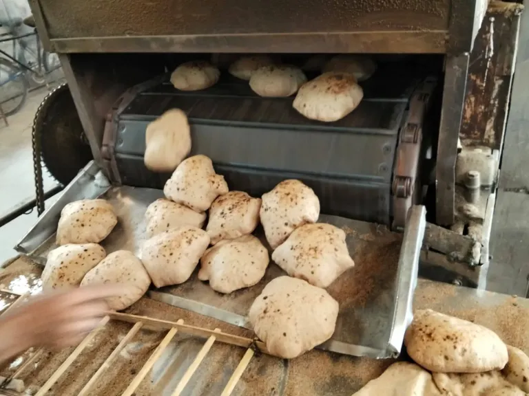 جانب من المضبوطات 