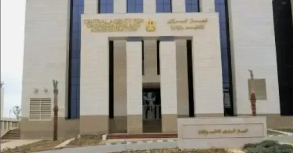 التنظيم والإدارة 