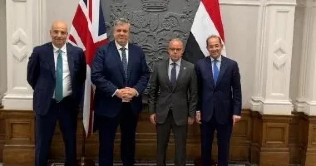 وزير المالية