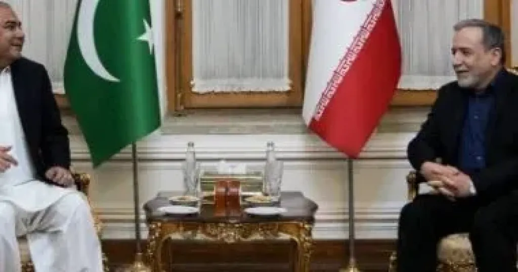 عراقجى ووزير داخلية باكستان