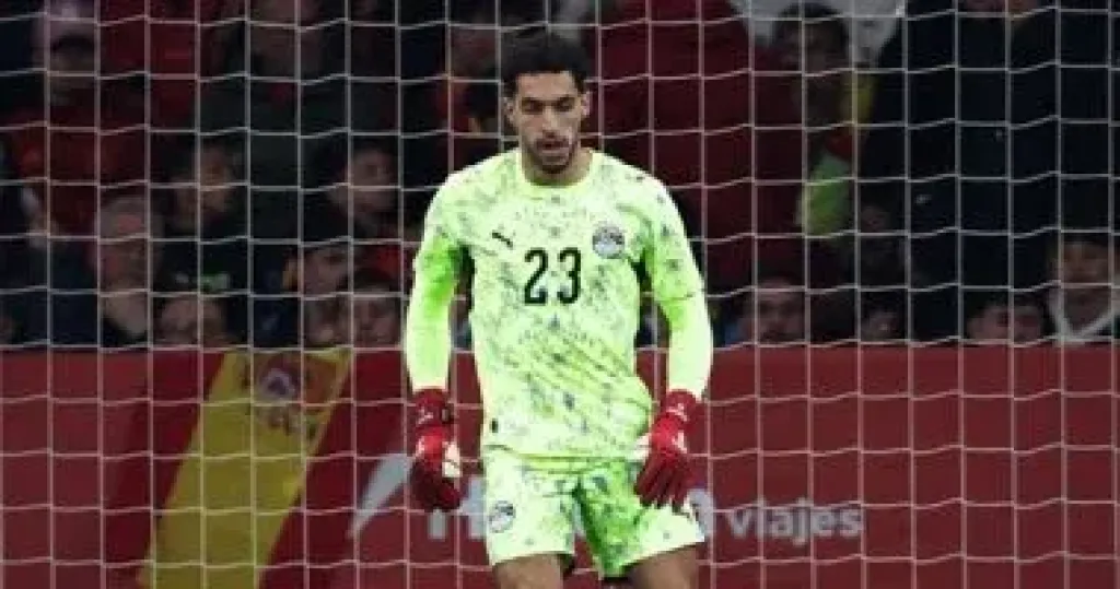 مصطفى شوبير