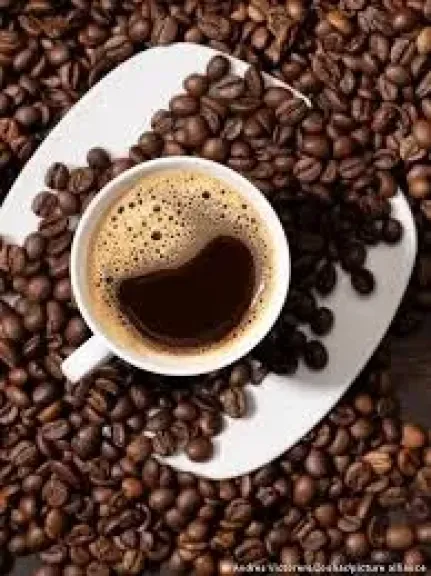ضبط كميات من الكوكايين مخبأة فى صناديق القهوة