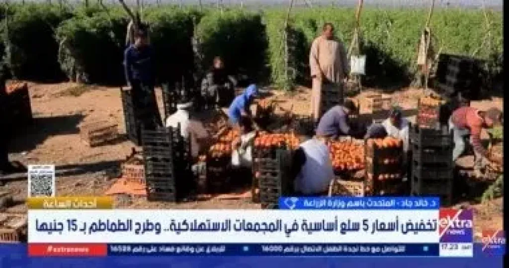 جانب من المداخلة 