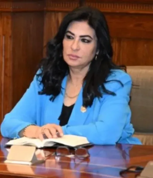 النائبة هالة كيرة 