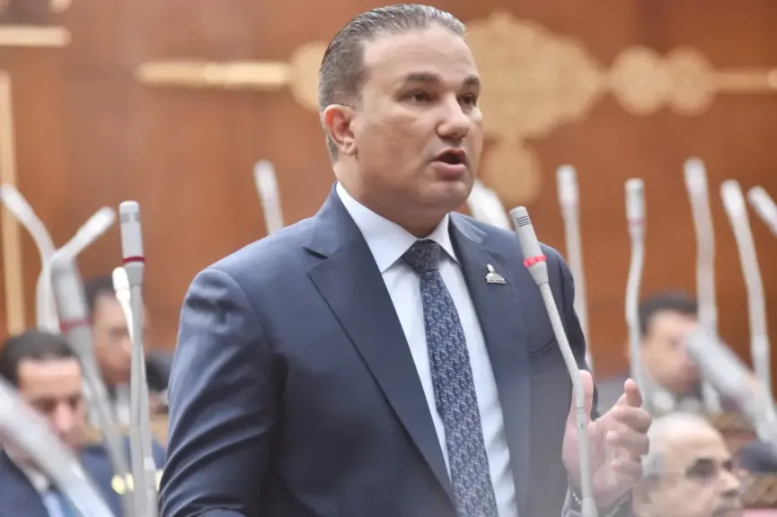 النائب تامر عبد الحميد