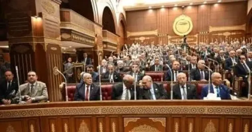   مجلس الشيوخ الاخبار خطه السياسه خطة التنمية الاقتصادية