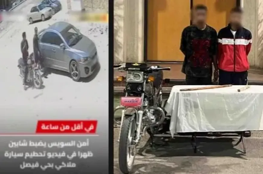 مشاجرة جيرة تتحول إلى تحطيم سيارة في شوارع السويس
