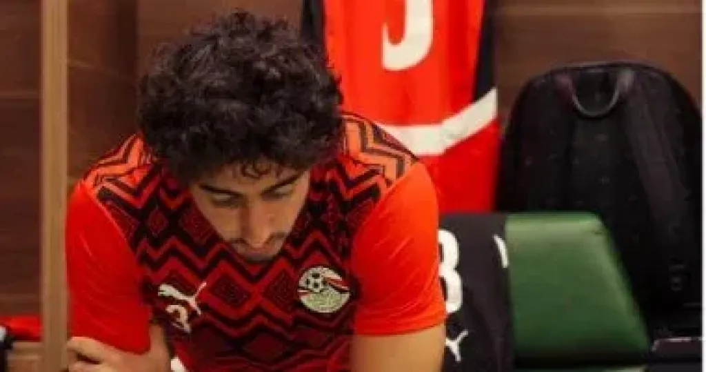 محمد هانى