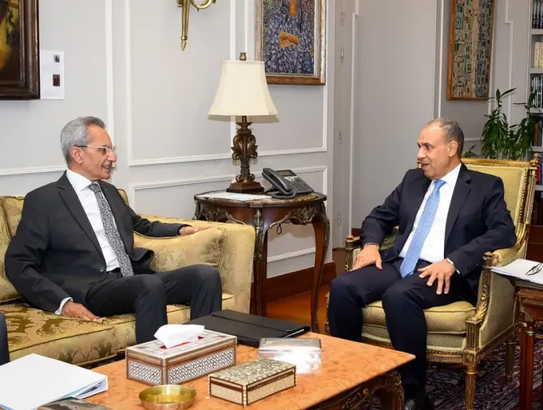وزير الخارجية يستقبل وزير شئون المجالس النيابية
