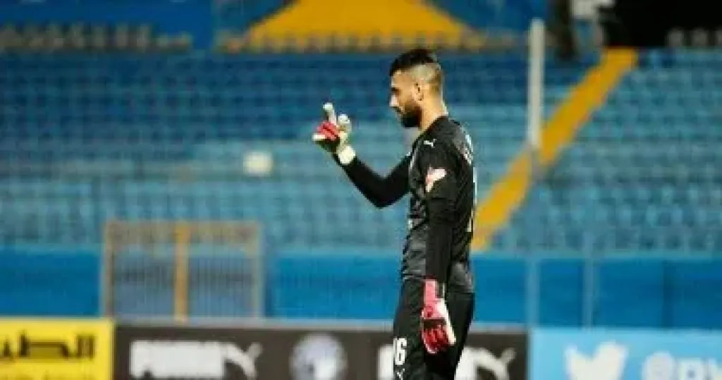 أحمد الشناوي