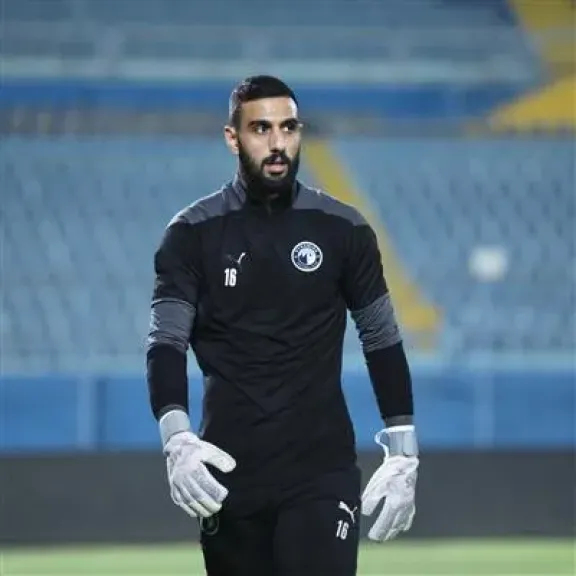 أحمد الشناوي