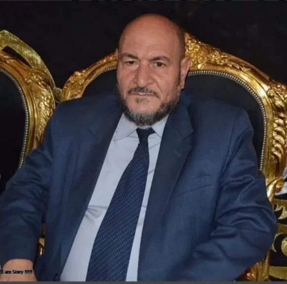 محمود الشاذلى