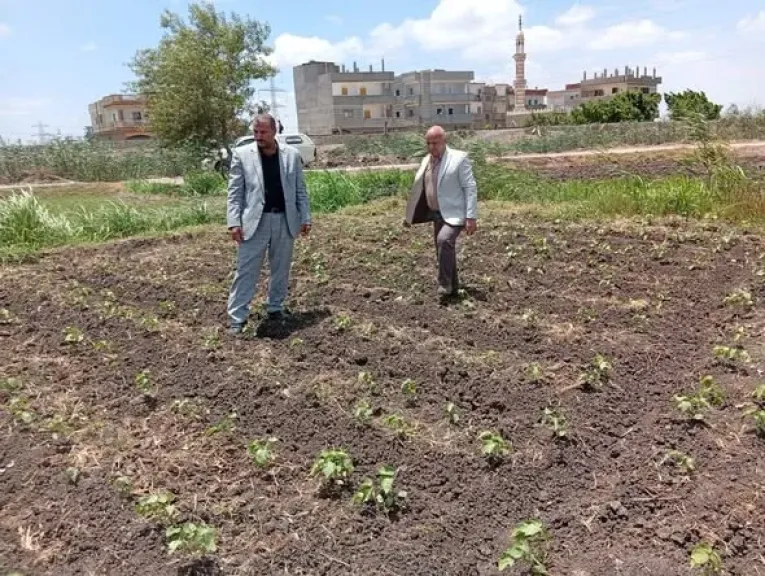 زراعة البحيرة